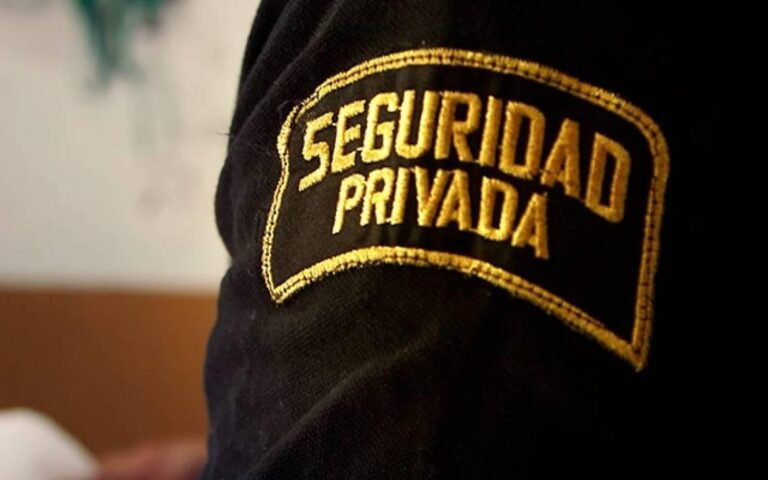 Lee más sobre el artículo Actualidad de la seguridad privada en México